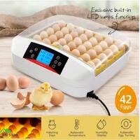 Automatic 42 Egg Incubator Automatic Digital LED Hatch Chicken Pigeon Quail Eggs