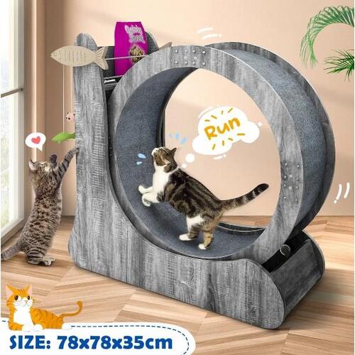 Cat Exercise Wheel Toy Scratcher Furniture Running Exerciser Treadmill Sports