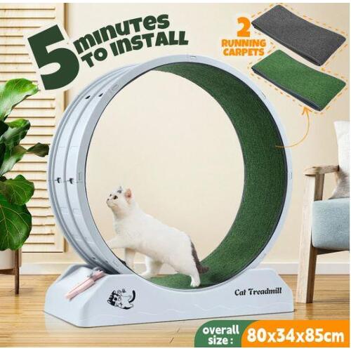 Cat Wheel Running Toy Exerciser Fitness Workout Treadmill Machine Indoor Feline