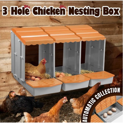 3 Hole Chicken Nesting Box Hen Chook Roll Away Poultry Coop Modular Laying Boxes