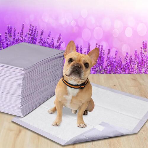 Pet Training Pads 200 Puppy Dog Toilet Pee Indoor Super Absorbent 60x60cm