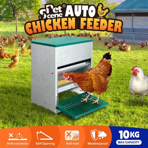 Automatic Chicken Feeder 10kg Auto Treadle Food Dispenser Galvanised Steel