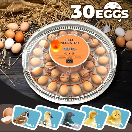 30 Egg Incubator Automatic Hatcher Hatching Hatchery Machine with Auto Turner