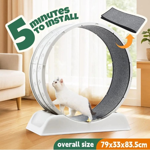 Cat Wheel Running Toy Exerciser Fitness Workout Treadmill Machine Kitten Play