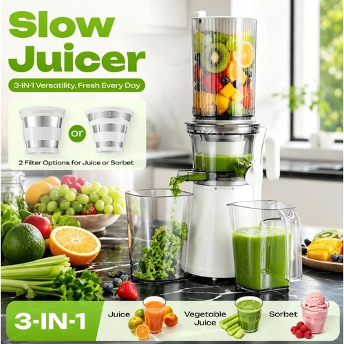3in1 Juicer Machine Cold Press Slow Fruit Masticating Vegetable Processor Sorbet