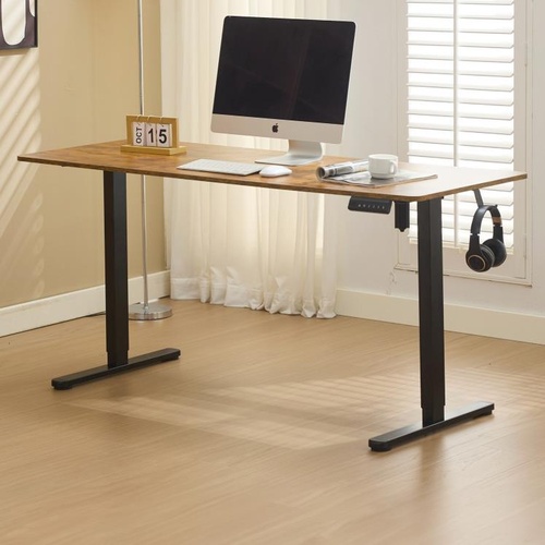 Theodore Electric Sit & Stand Desk