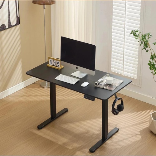 Electric Standing Desk 100x60cm Height Adjustable
