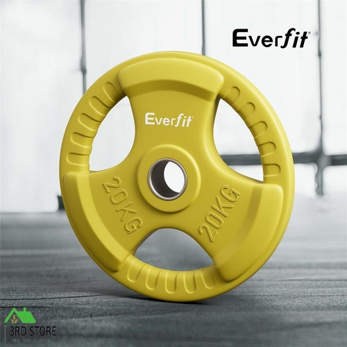 Everfit Weight Plates Olympic 20kg Dumbbell Barbell Plate Weight Lifting Home