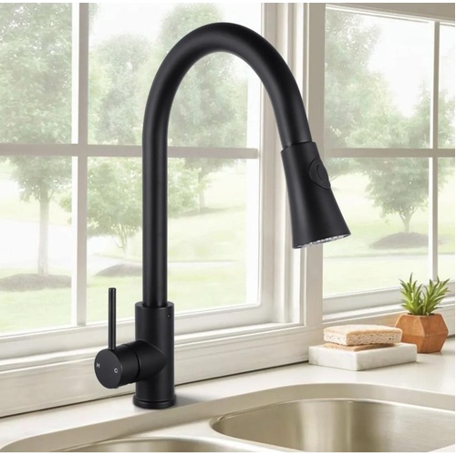 Euro Wide Flared Pull-Out Kitchen Sink Mixer