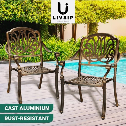 Livsip Outdoor Dining Chairs Cast Aluminium Patio Garden Furniture Set of 2