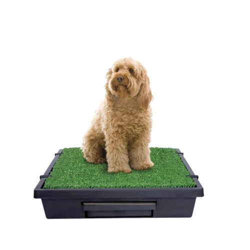 PetSafe Pet Loo Pet Toilet | Medium | PWM00-14498